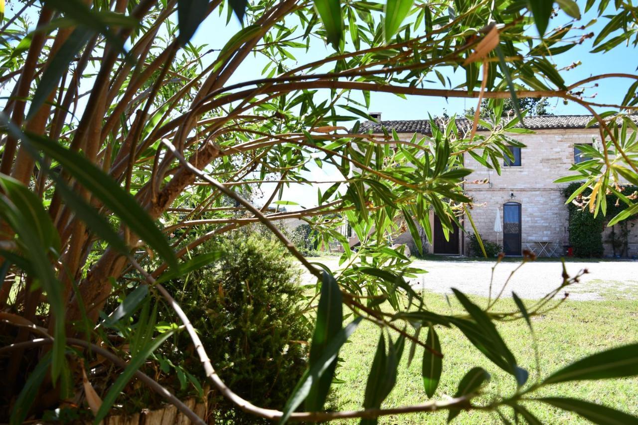 Agriturismo Dai Mori Isola del Piano Εξωτερικό φωτογραφία